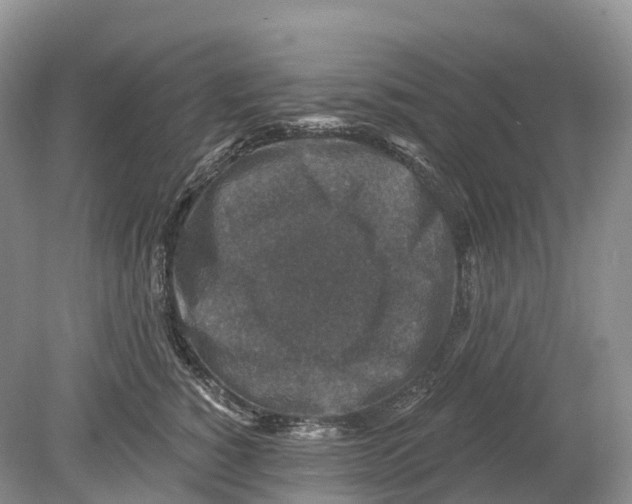 X0000078870760200612111713