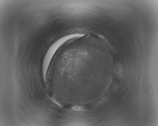 X0000078870762200612111713