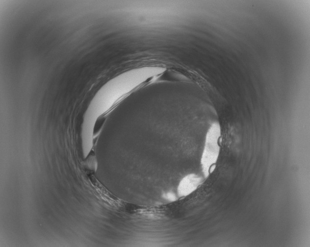 X0000078870763200612111713