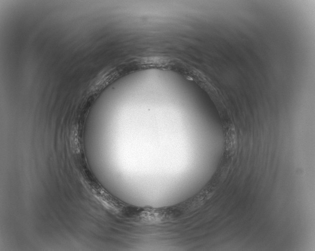 X0000078870764200612111713