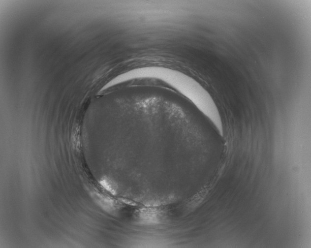 X0000078870766200612111713