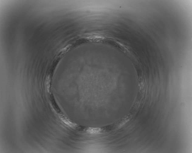 X0000078870767200612111713