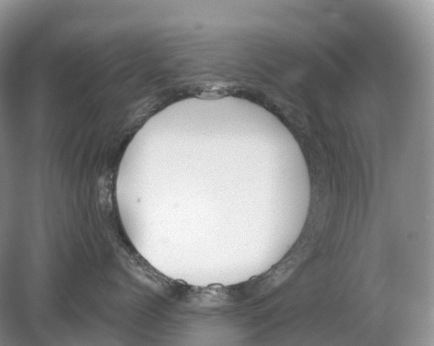 X0000078870768200612111713