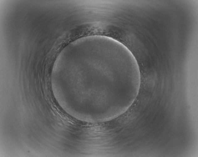 X0000078870769200612111713