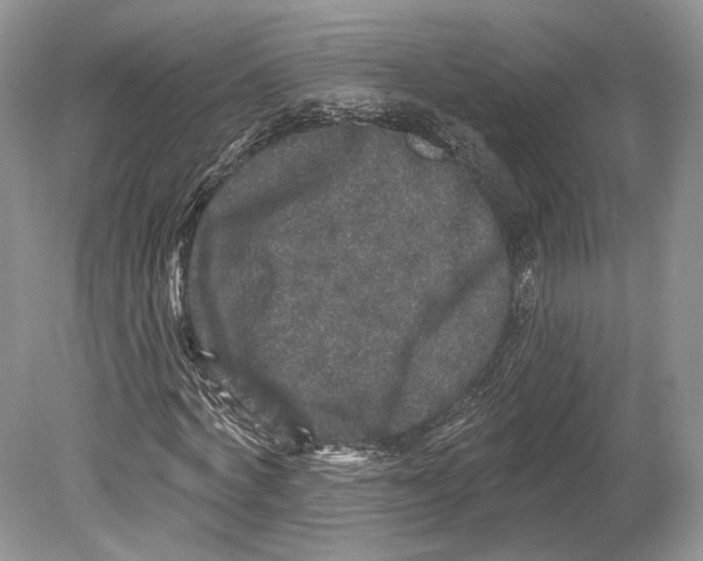 X0000078870772200612111713