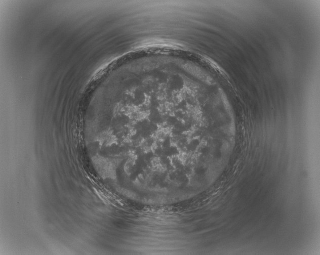 X0000078870775200612111712