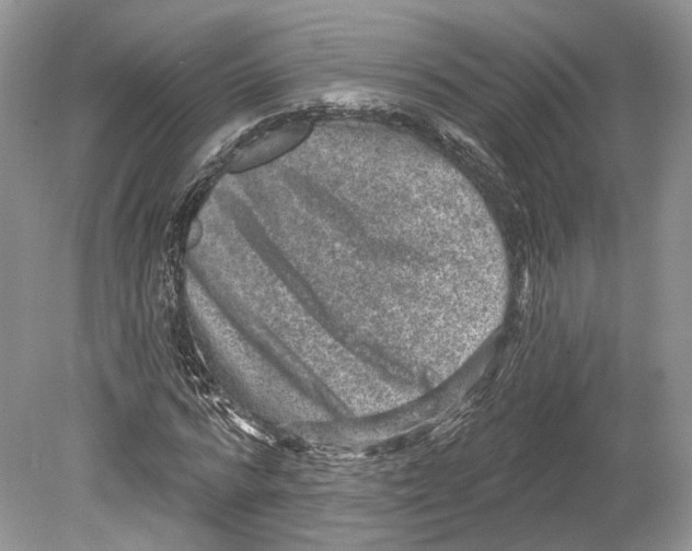 X0000078870776200612111712