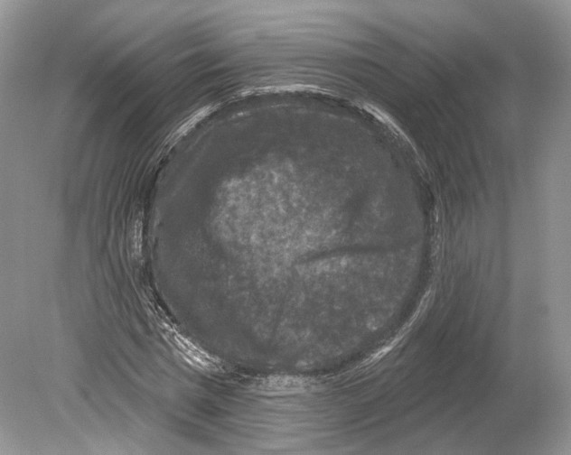 X0000078870777200612111712