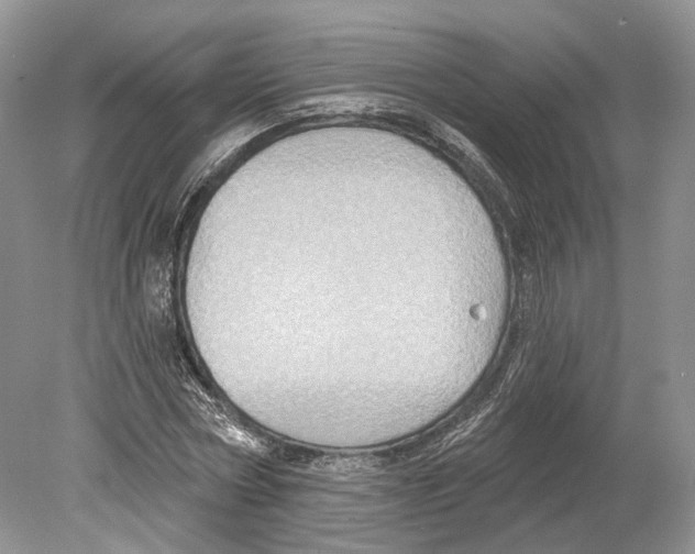 X0000078870778200612111712