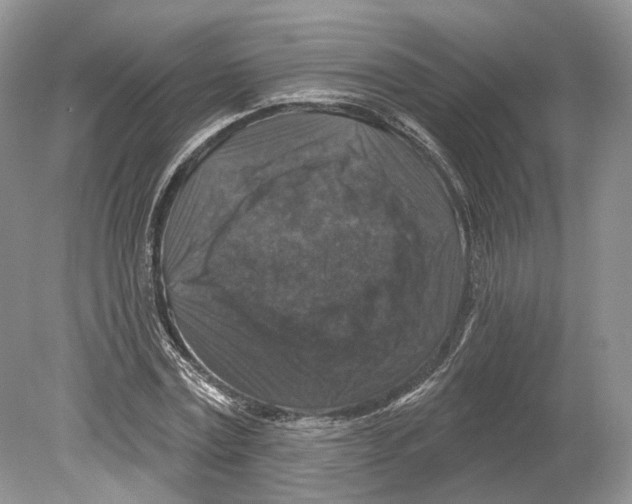 X0000078870779200612111712