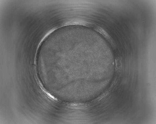 X0000078870780200612111712