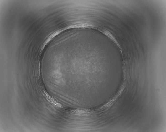 X0000078870781200612111712