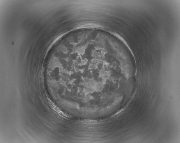 X0000078870783200612111712