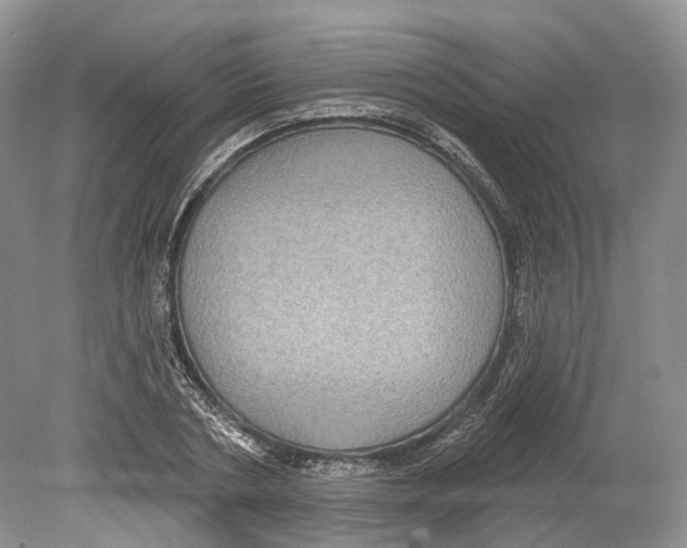 X0000078870786200612111712