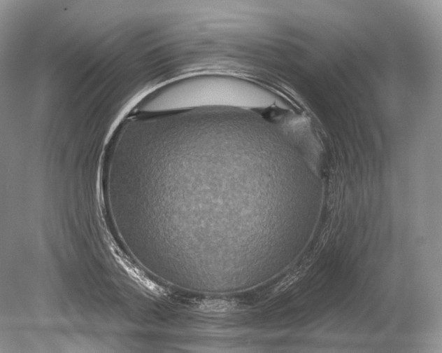 X0000078870788200612111712