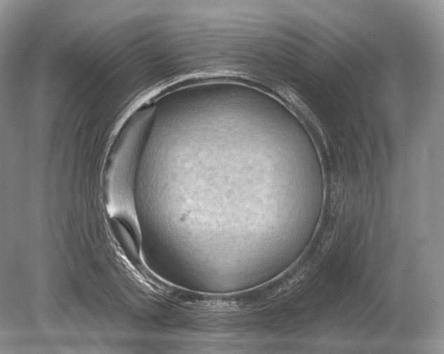 X0000078870789200612111712