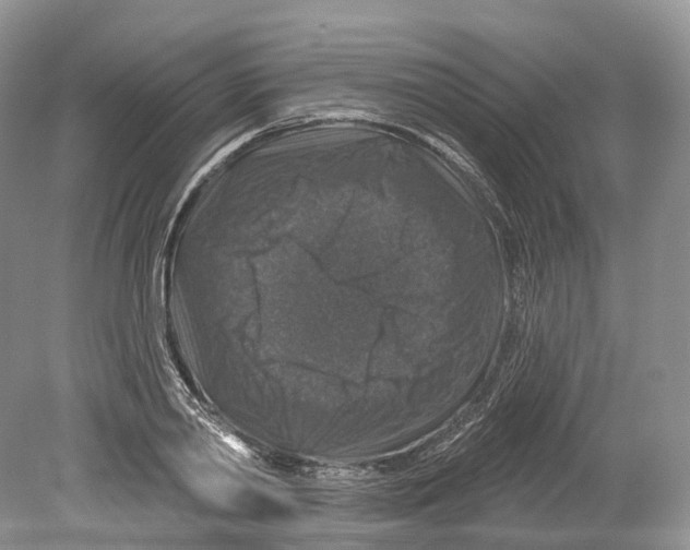 X0000078870790200612111712