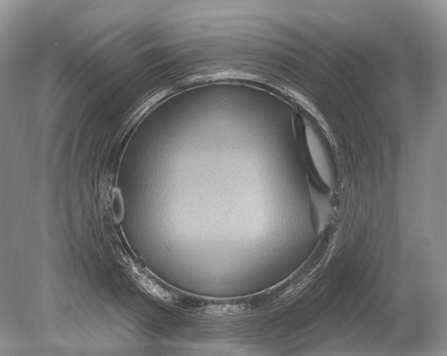 X0000078870793200612111712