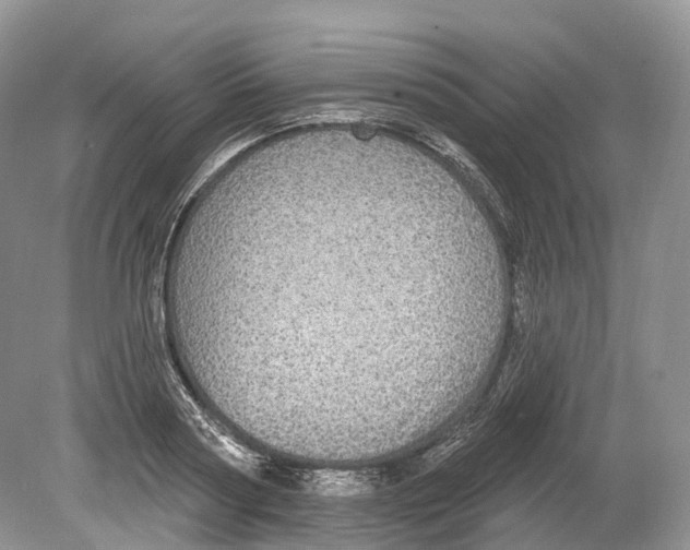 X0000078870794200612111712