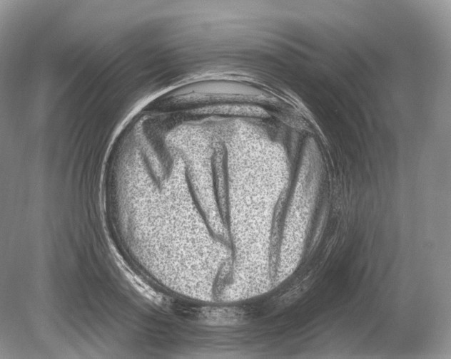 X0000078870795200612111712