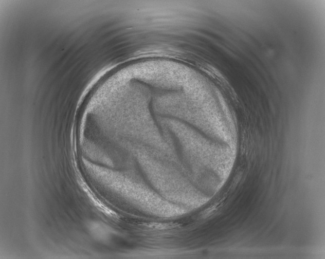 X0000078870796200612111712