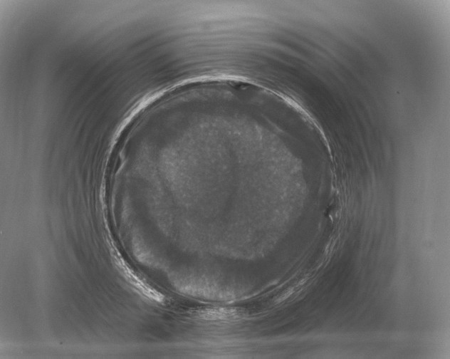 X0000078870797200612111712