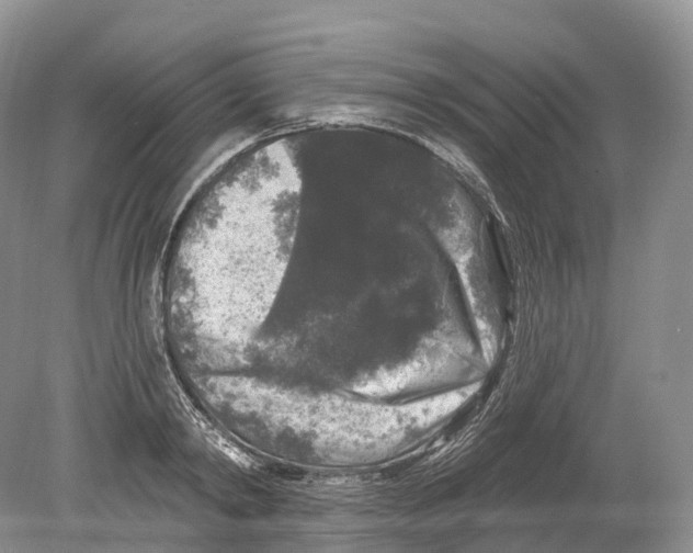 X0000078870798200612111712