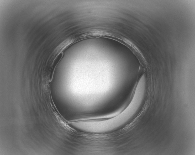 X0000078870801200612111712