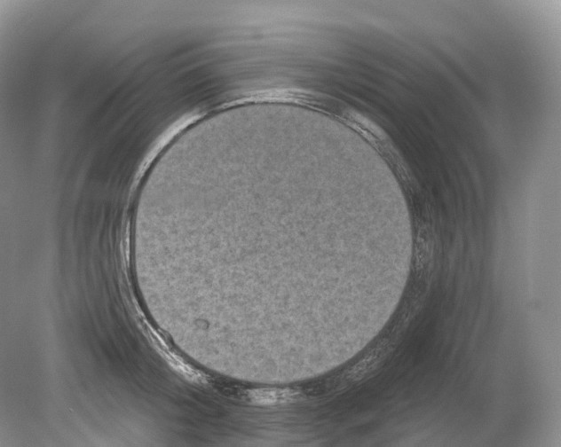 X0000078870804200612111712