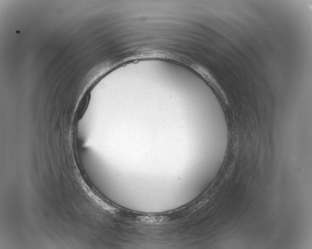 X0000078870805200612111712