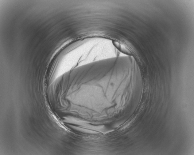 X0000078870806200612111712