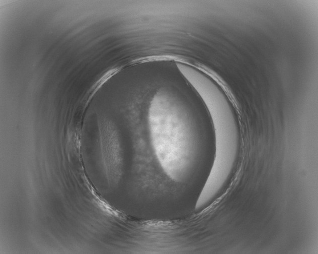 X0000078870809200612111712