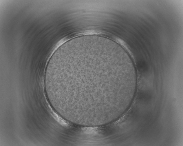 X0000078870810200612111712