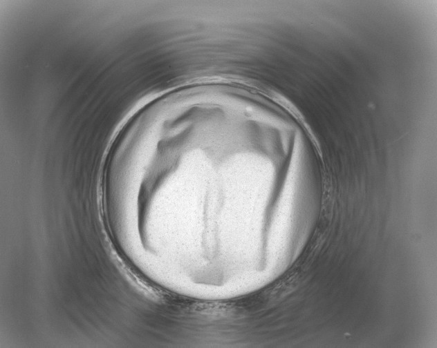 X0000078870811200612111712