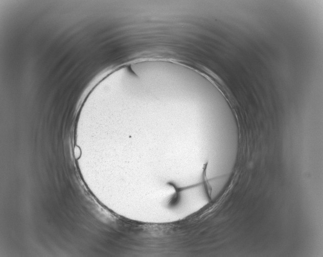 X0000078870812200612111712