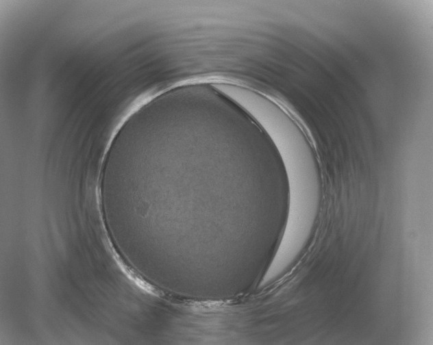 X0000078870813200612111712