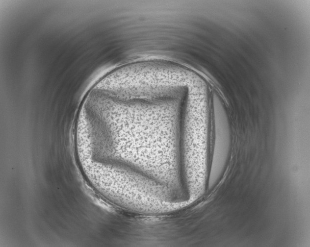 X0000078870814200612111712