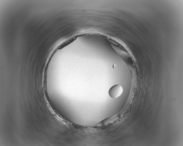 X0000078870815200612111712