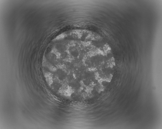 X0000078870817200612111711