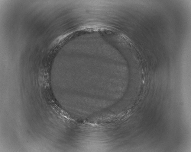 X0000078870822200612111711