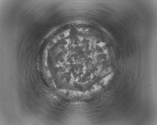 X0000078870823200612111711