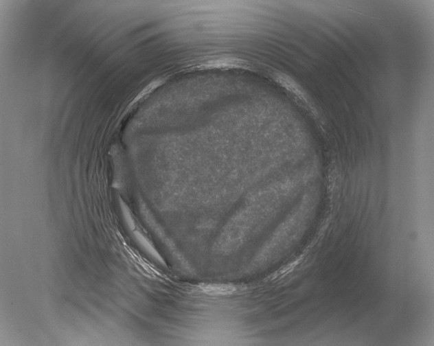 X0000078870825200612111711