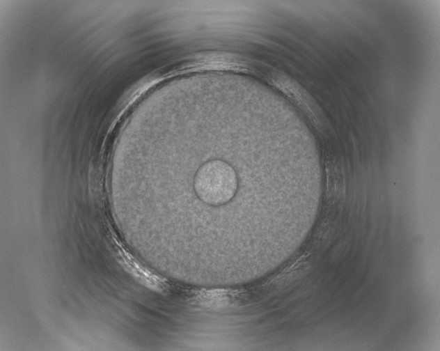 X0000078870828200612111711