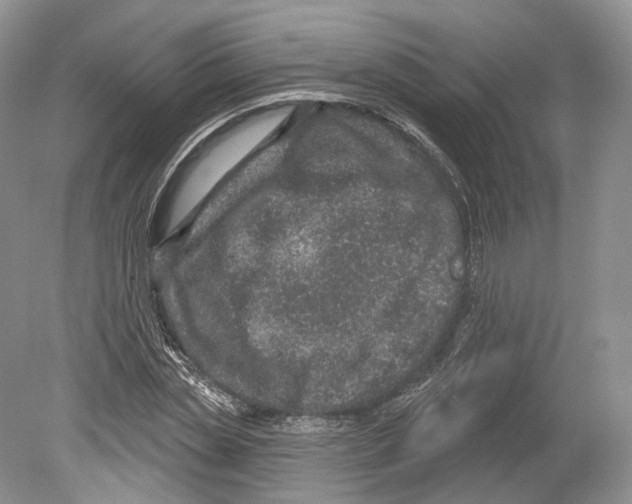 X0000078870829200612111711