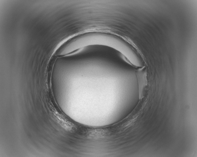 X0000078870830200612111711