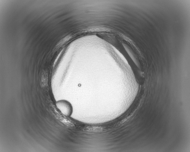 X0000078870833200612111711