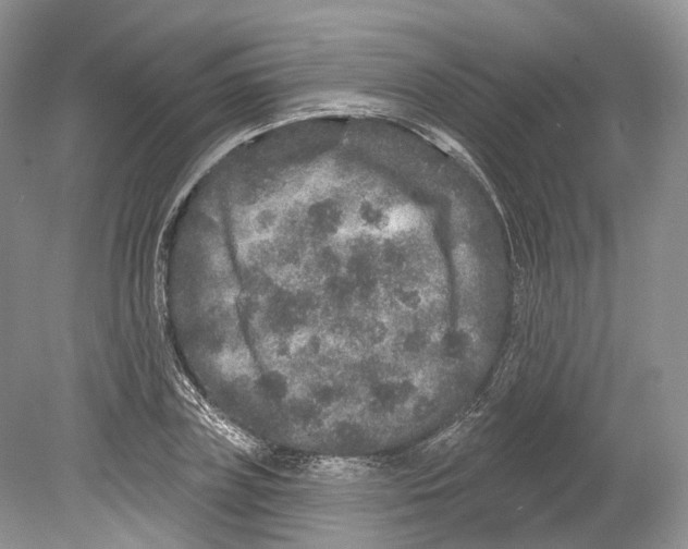 X0000078870835200612111711