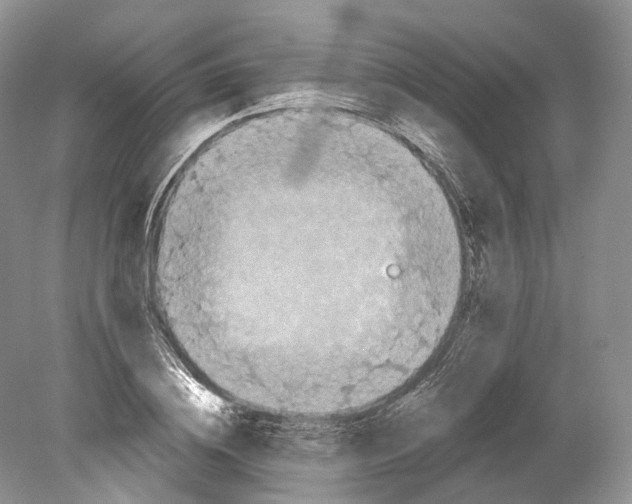 X0000078870836200612111711