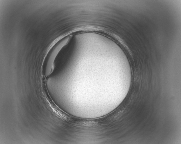 X0000078870837200612111711