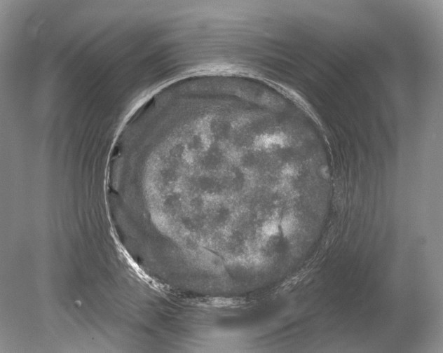 X0000078870839200612111711